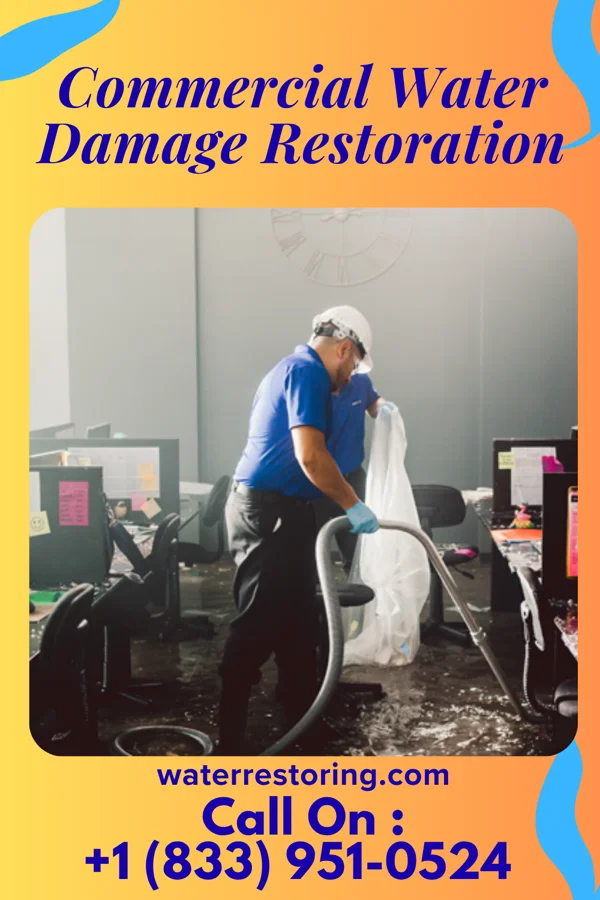 Commercial Water Damage Restoration in Savoy, TX