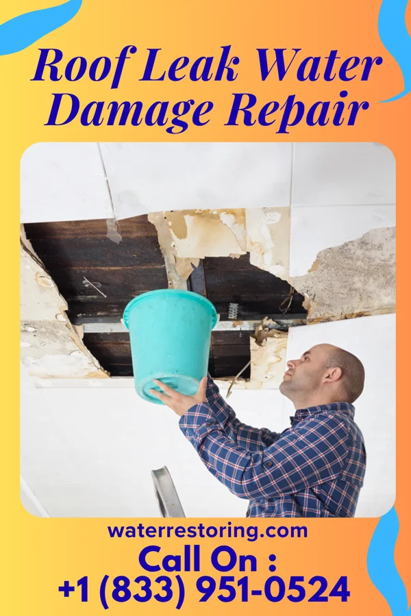 Roof Leak Water Damage Repair in Savoy, TX